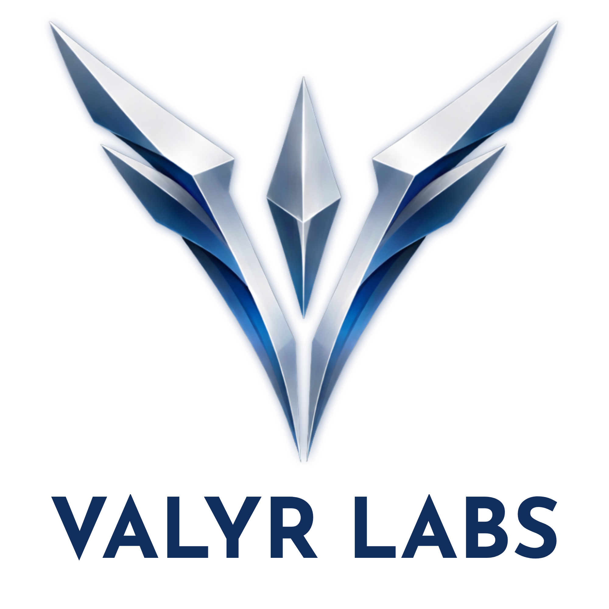 Valyr Labs